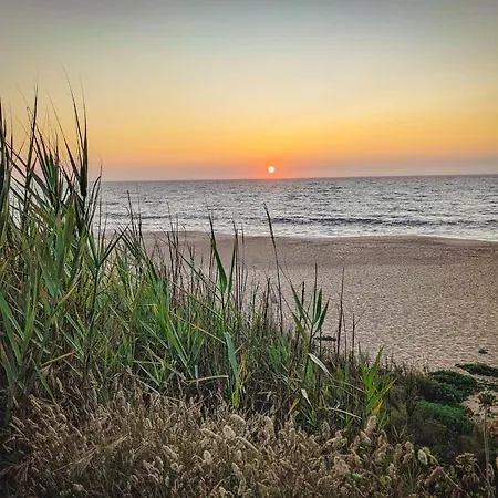 Apartament Casa Luma Vieira de Leiria